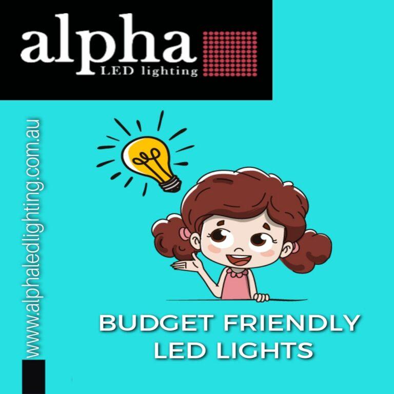 Budget Friendly LED Lights Alpha LED Lighting LED & Neon Feature