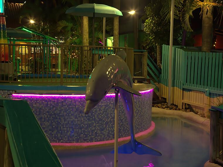 Putt Putt - Dolphin PINK lighting in pool BLUE tail